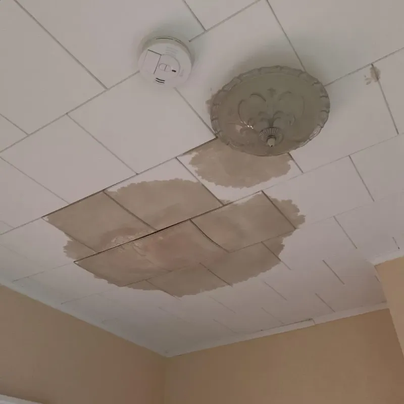 Ceiling Water Damage Repair in Fredericktown, OH
