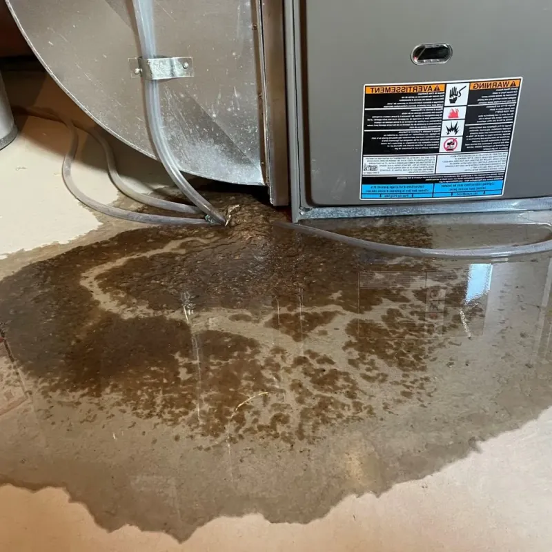 Pipe Burst and Leak Restoration in Fredericktown, OH