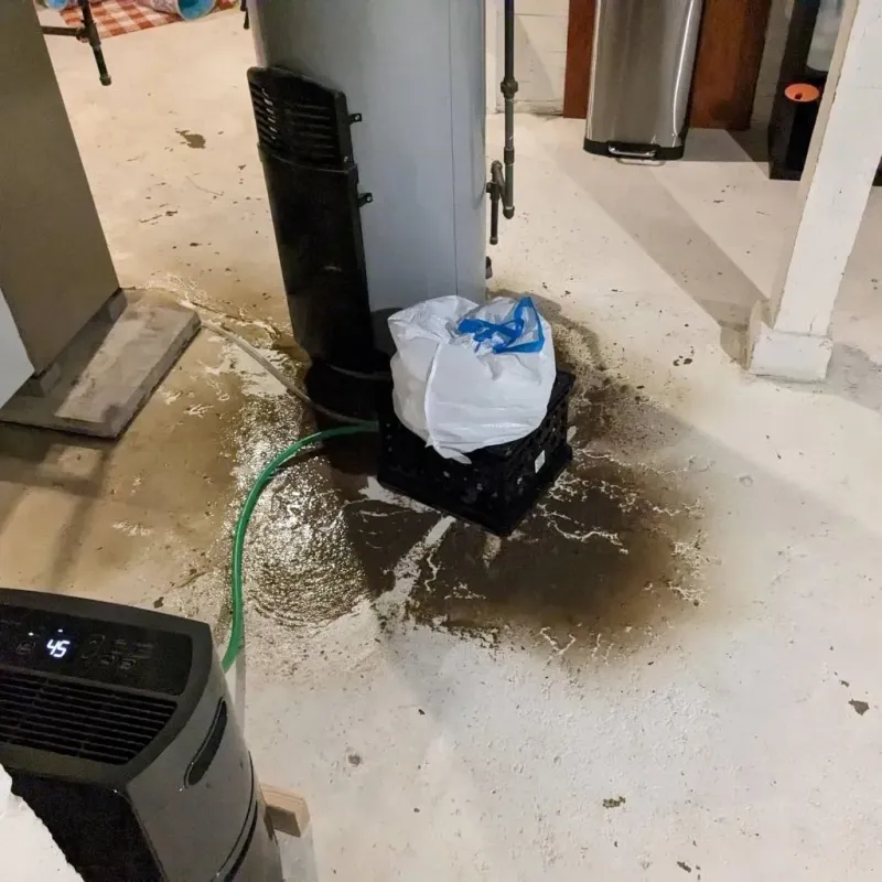 Sewage Backup Cleanup Service in Fredericktown, OH
